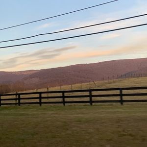 Meet your Posher, Cobe